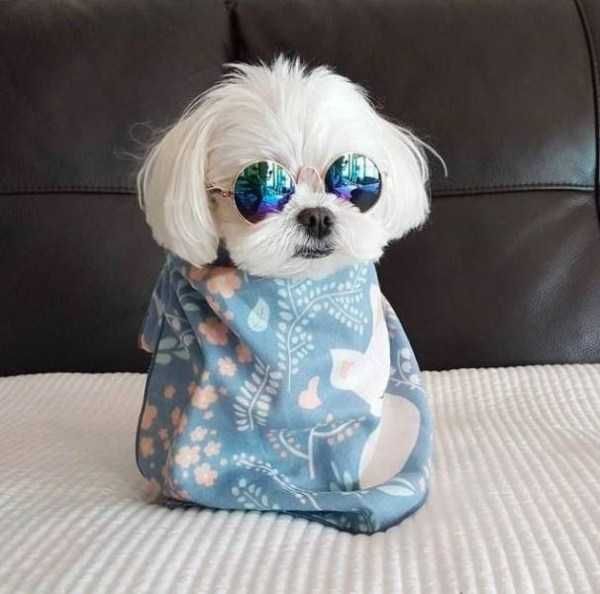 cutie
