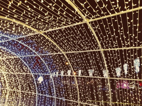 luces ignoticas