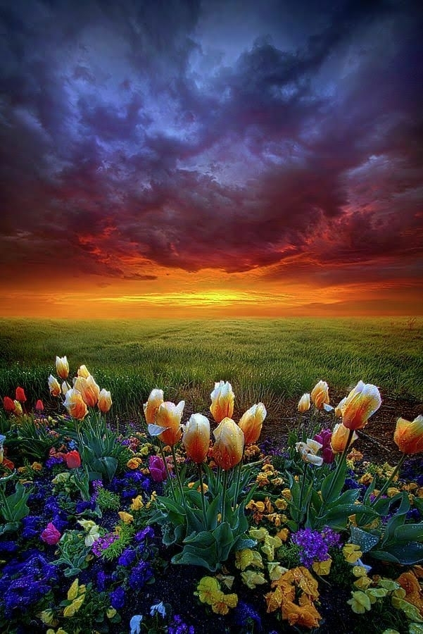 natural landscapes