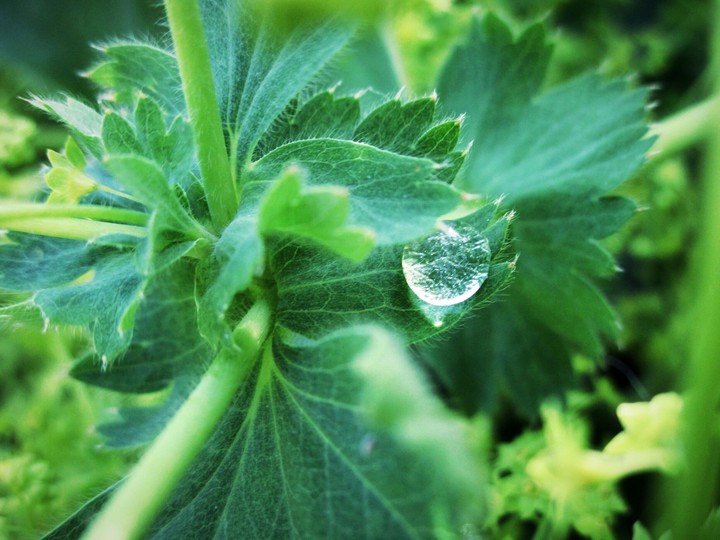 waterdrop.
