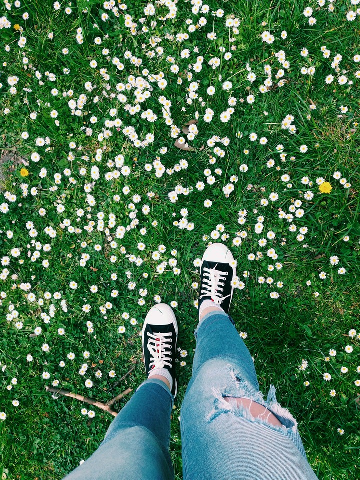 my spring