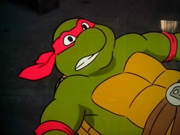 TMNT Raphael NINJA TURTLE