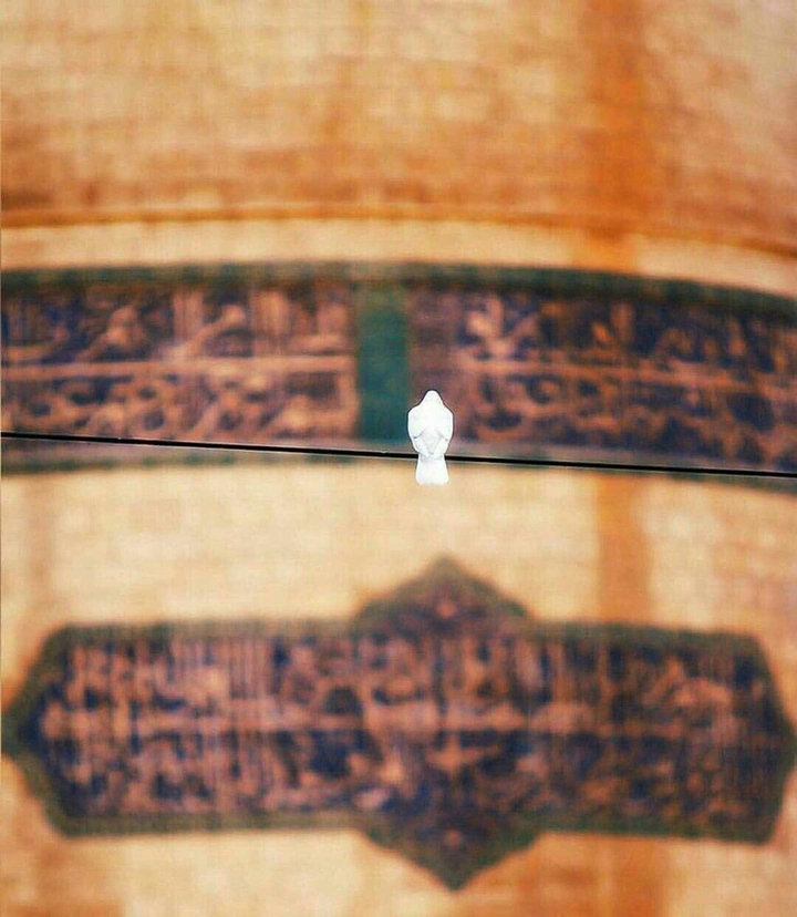 I need you ya Emam Reza.....