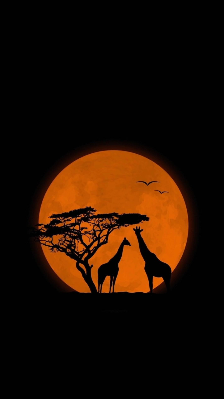 African savanna