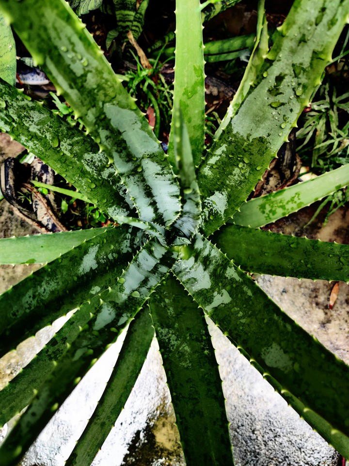 Circle