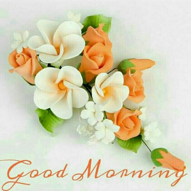 g m f