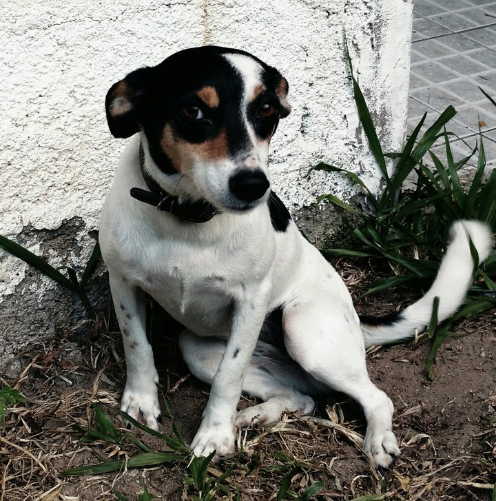 Jane