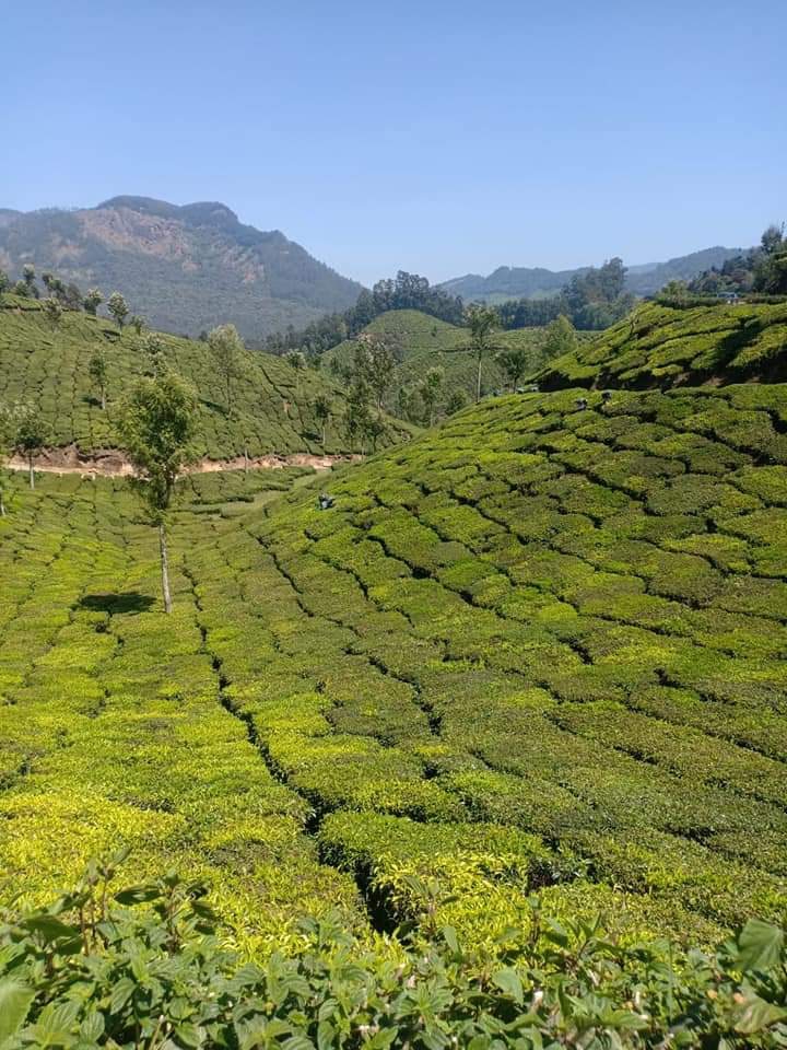 Munnar