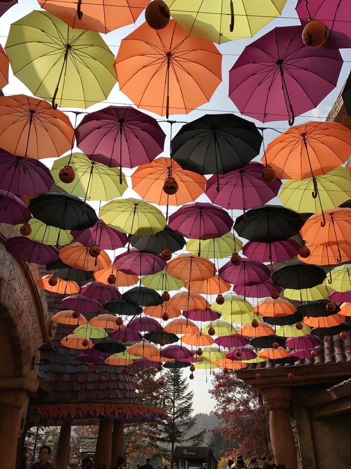 umbrella