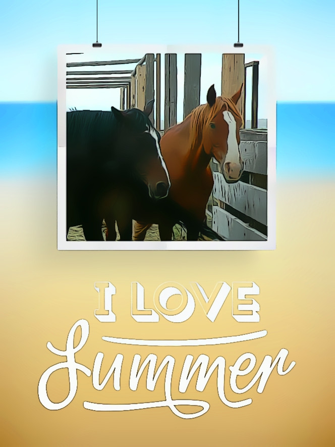 I Love Summer