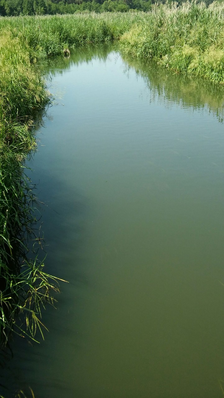 rzeka