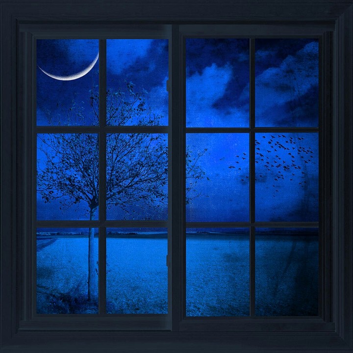 BLUE NIGHT