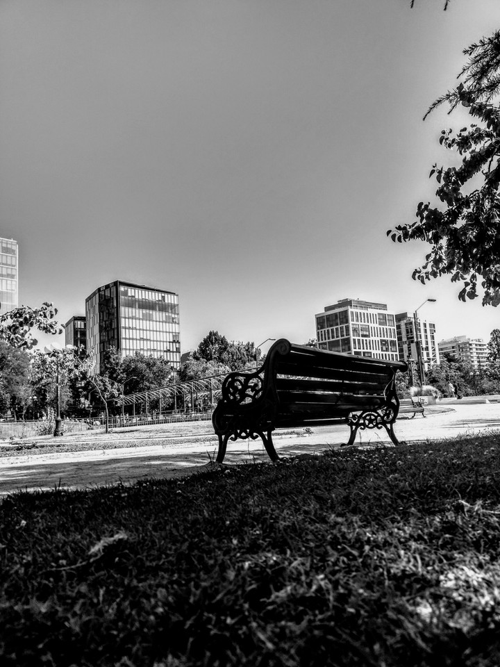 Lonely