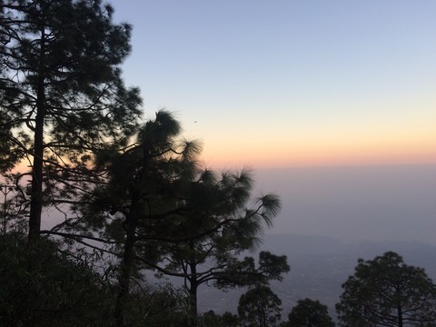 colorsofnature