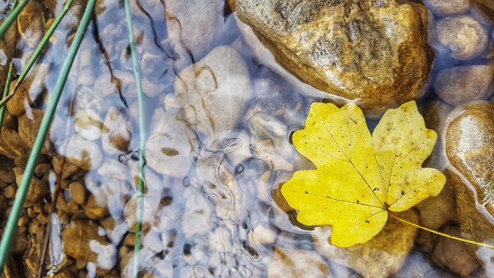 Soft autumn