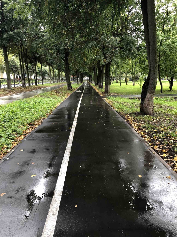 После дождя