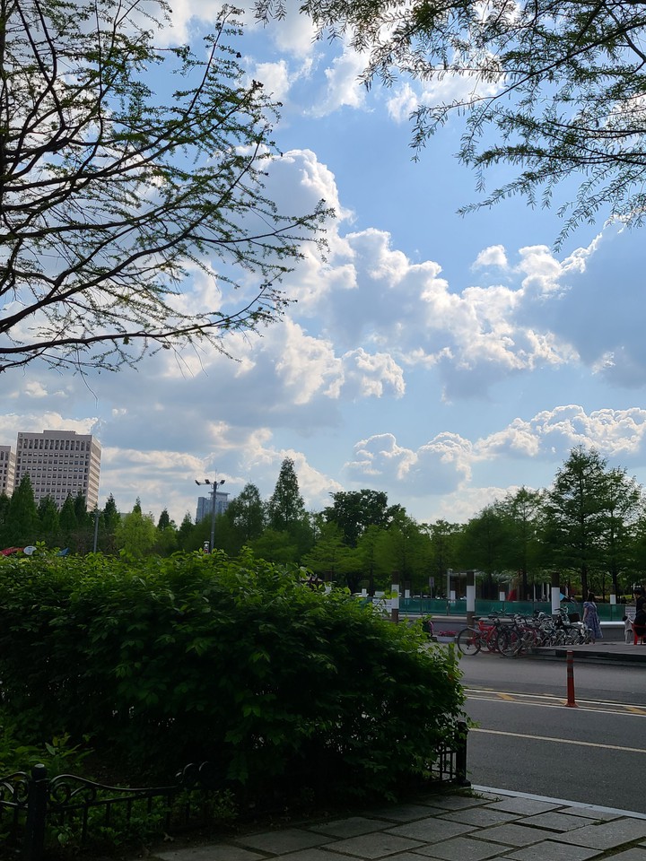 엑스포