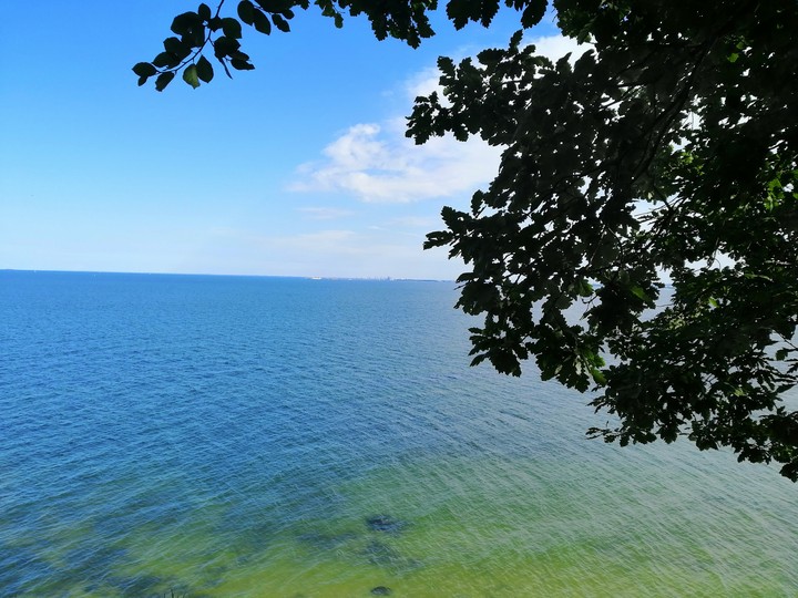 sea
