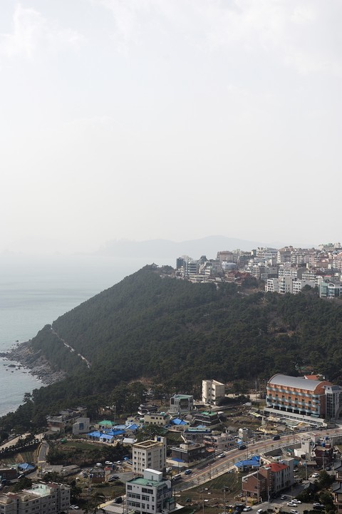 Sea
