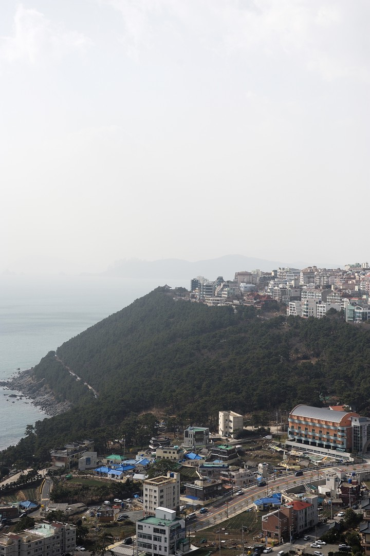 Sea