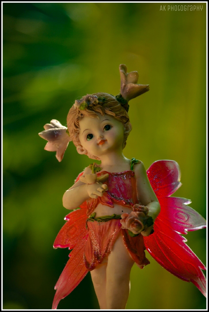 fairy