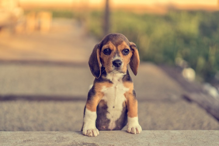 cute!