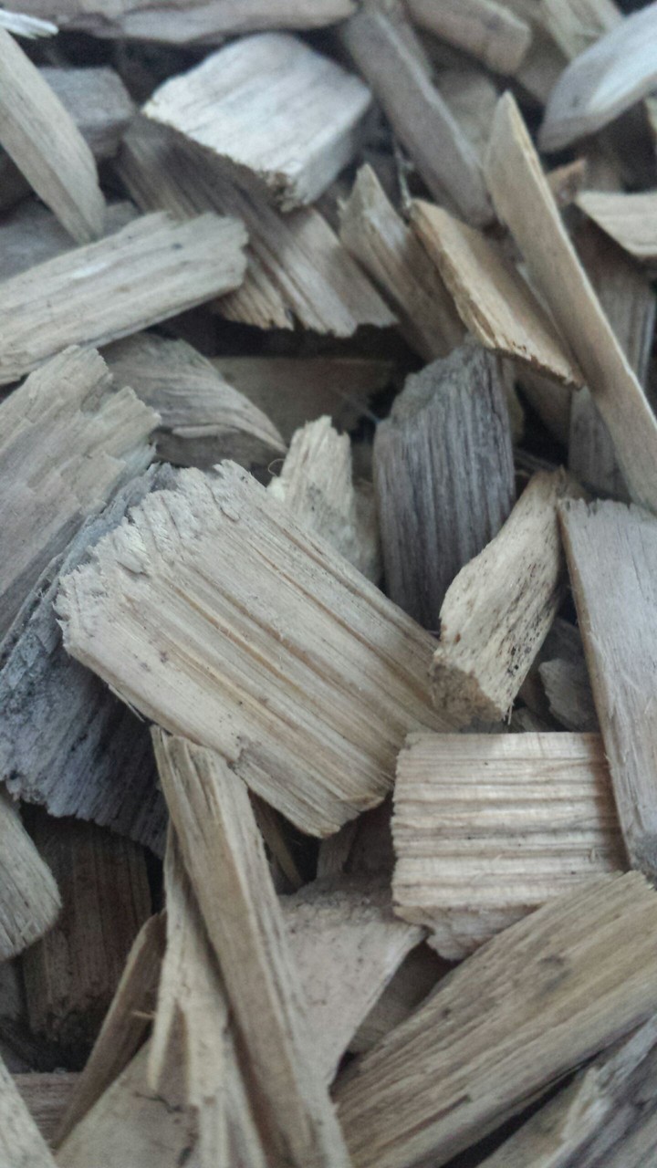 Holz
