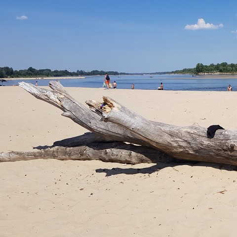 #beach #plaża