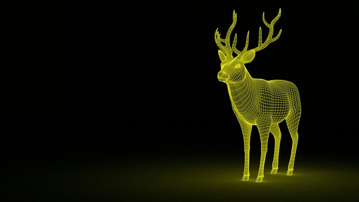 Roe deer nice stayle