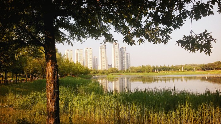 lake park
