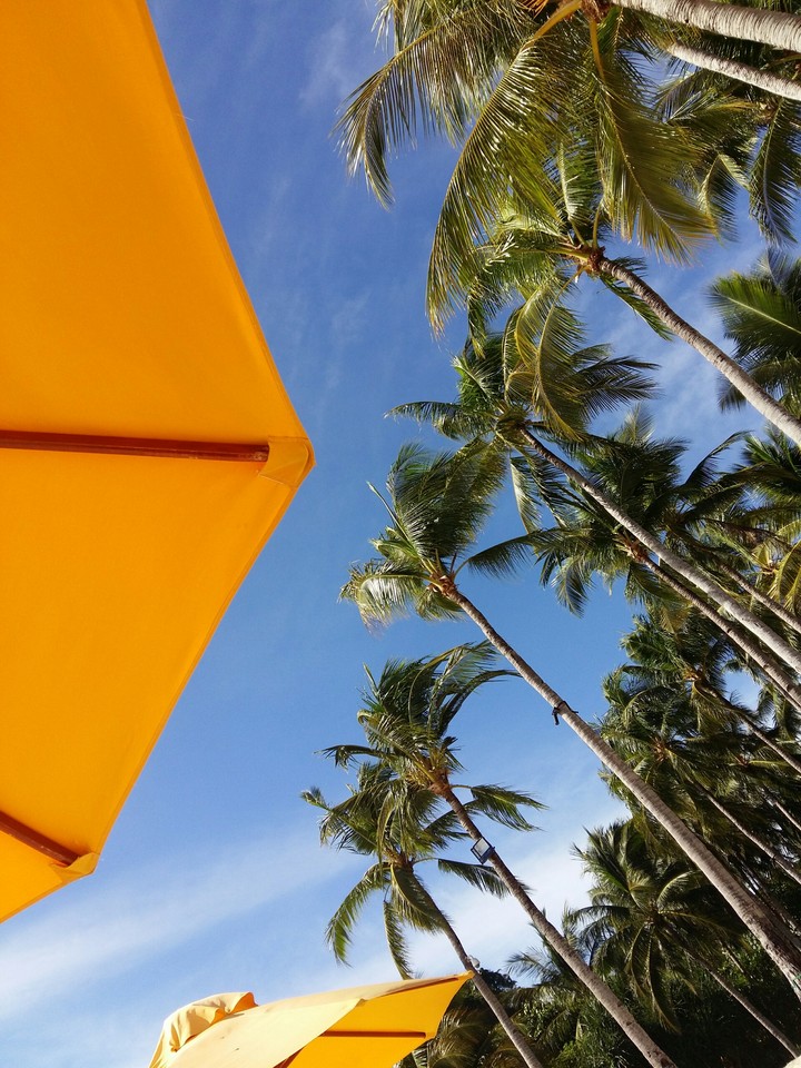 umbrella sky