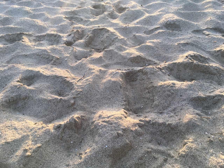 Sylt