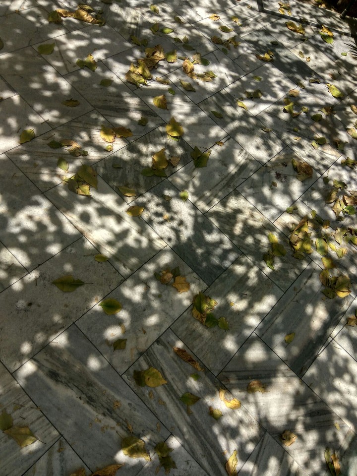 autumn love