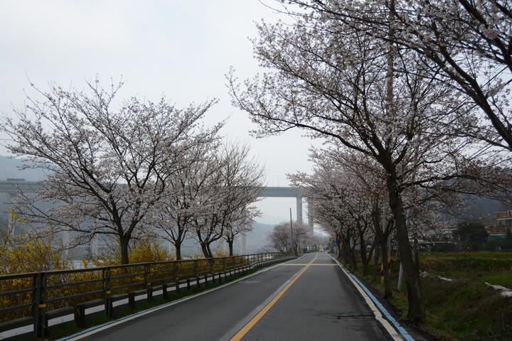 풍경이미지