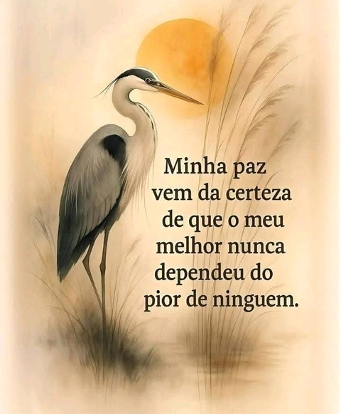 heron, bird háttérképek
