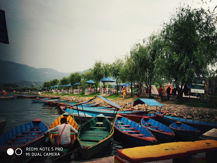 boats