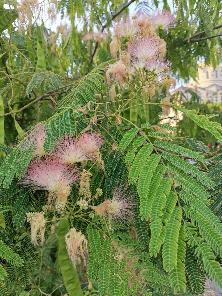 ?