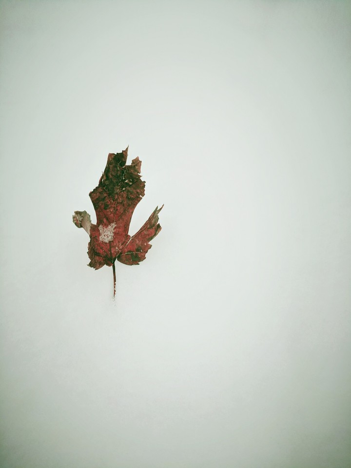 Winter Autumn 3