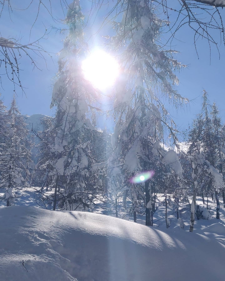 Sun and snow