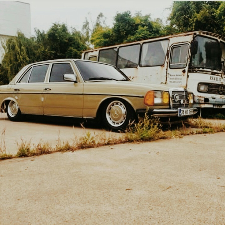 güzel