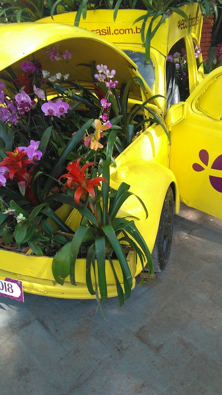 Fusca com flores
