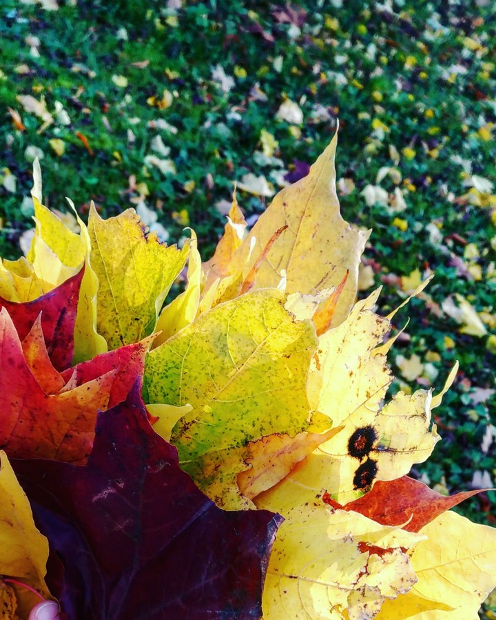Autumn mood