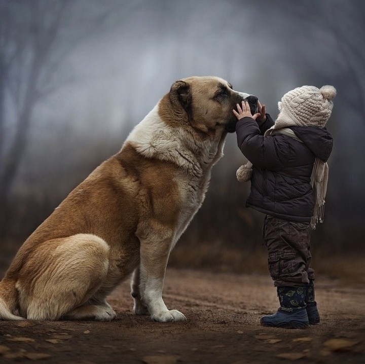 Friends
