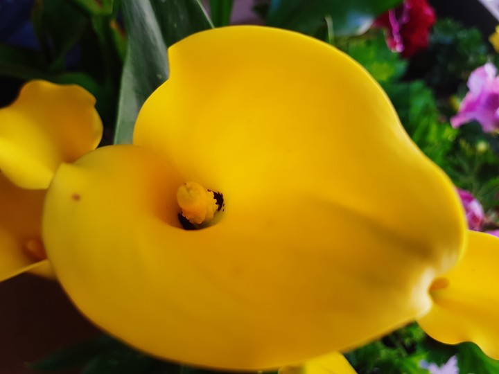 ..