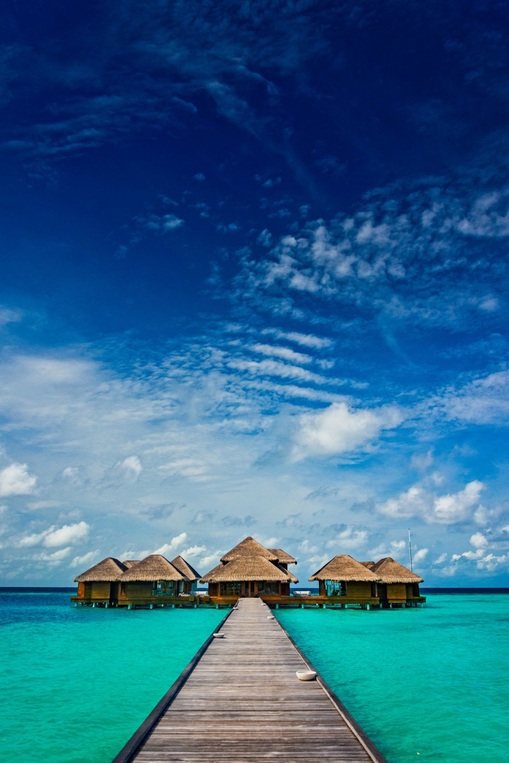 Paradies