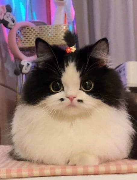 .