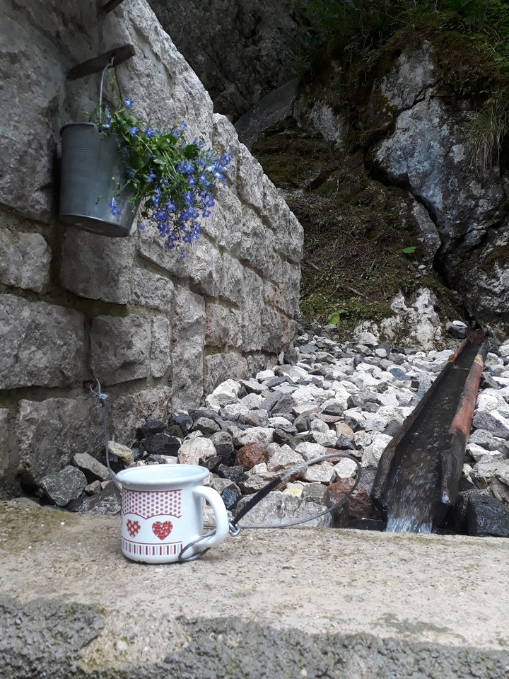 natural refreshment 