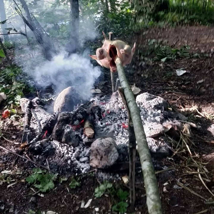 camp