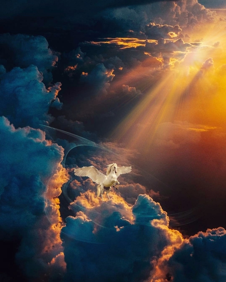 Pegasus