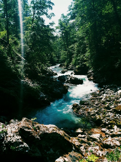 vintgar gorge